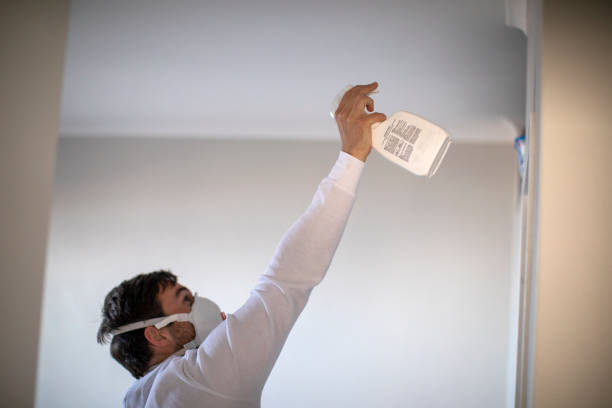 Best Fast Mold Removal  in Bagley, MN